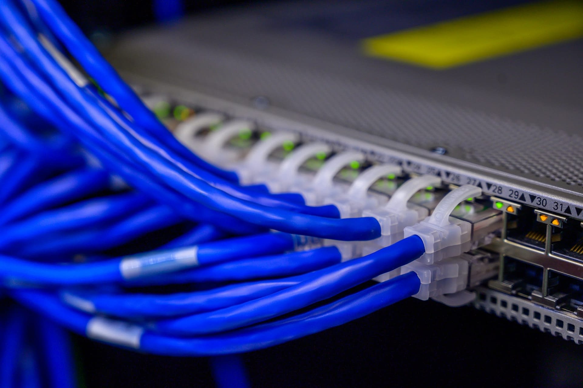 Business Internet Systems Meadowlark Marsh LLC 